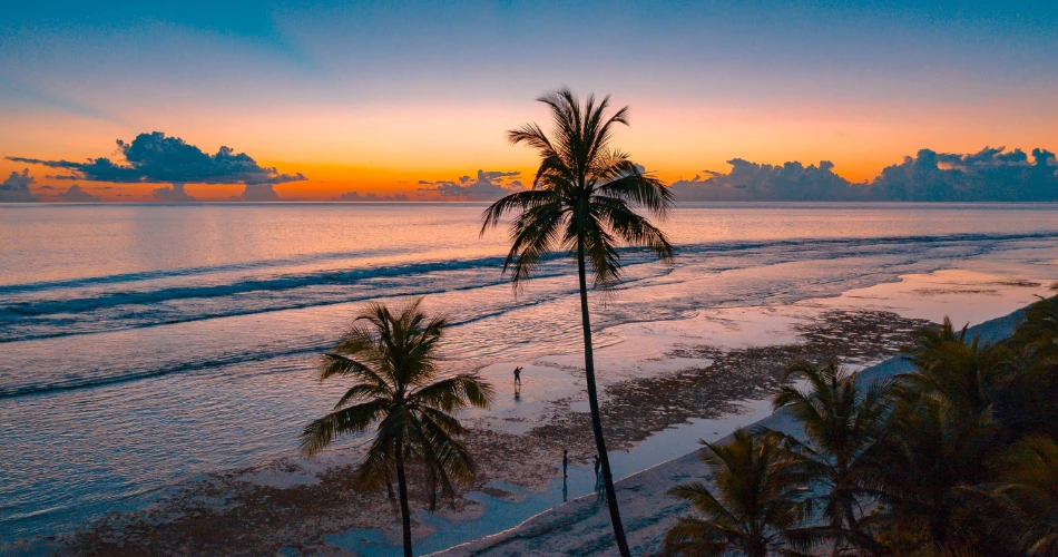 Miami Beach Travel Guide: Sun, Sand & Art Deco Magic
